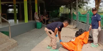 Marbut Masjid Al-Muhajirin di Purwakarta tewas dibacok tetangga saat hendak mengumandangkan azan. Polisi menangkap pelaku dan menyita dua senjata tajam.