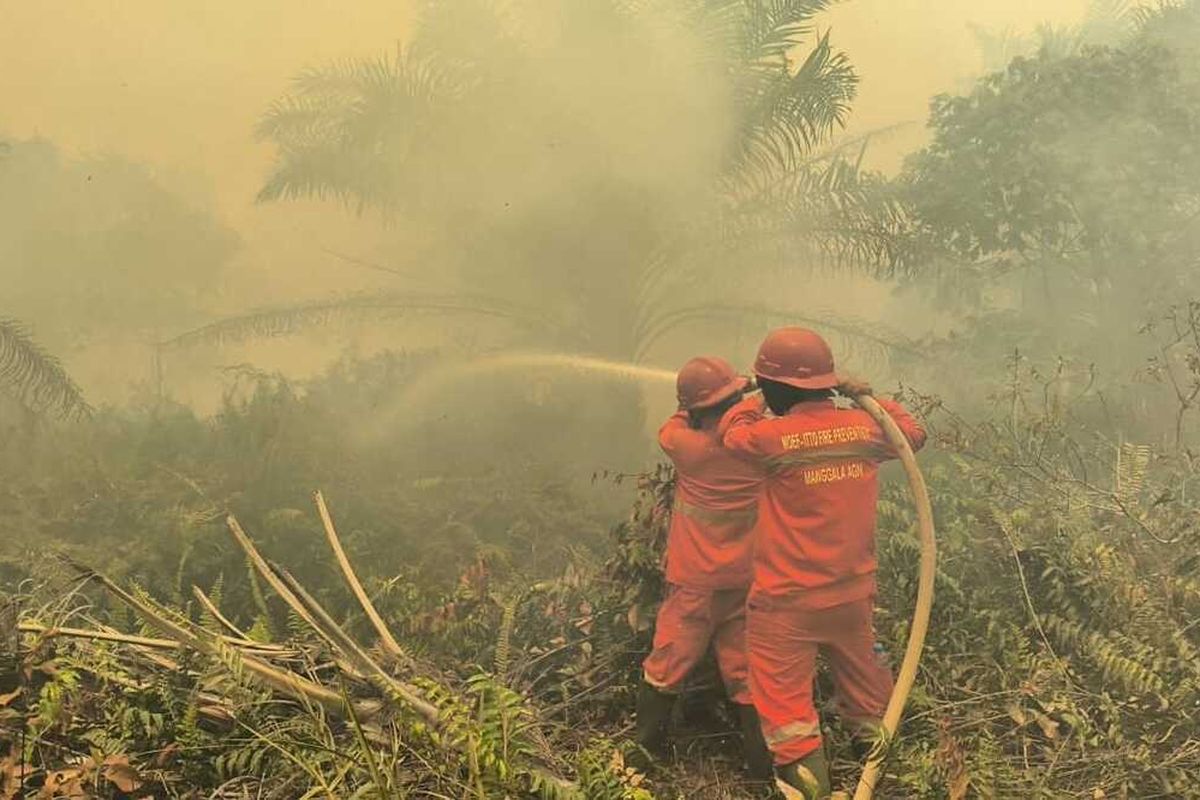 Kualitas Udara Malaysia Memburuk akibat Kabut Asap Karhutla Indonesia