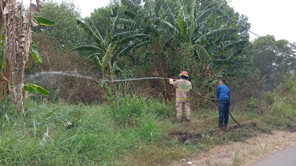 Tiga kebakaran lahan terjadi di Bandar Lampung dalam sehari. Api diduga berasal dari pembakaran sampah yang ditinggalkan dan merambat karena angin kencang.