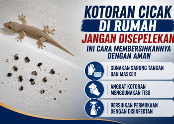 Kotoran cicak berpotensi membawa bakteri seperti Salmonella. Simak cara aman membersihkannya tanpa membuat partikel kotoran beterbangan di rumah.