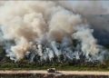 Komisi IV DPR mendesak pemerintah menjadikan karhutla Kalimantan sebagai prioritas nasional setelah asap berdampak pada kesehatan, pendidikan dan ekonomi.