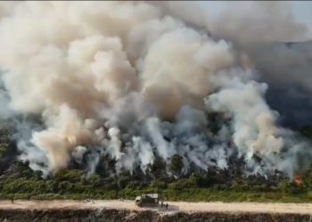 Komisi IV DPR mendesak pemerintah menjadikan karhutla Kalimantan sebagai prioritas nasional setelah asap berdampak pada kesehatan, pendidikan dan ekonomi.