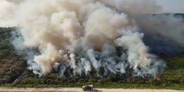Komisi IV DPR mendesak pemerintah menjadikan karhutla Kalimantan sebagai prioritas nasional setelah asap berdampak pada kesehatan, pendidikan dan ekonomi.
