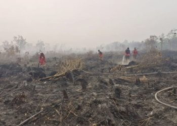 Sebanyak 108 sekolah di Serian, Sarawak, Malaysia, ditutup akibat kabut asap dari karhutla Kalimantan. Murid diminta belajar dari rumah.