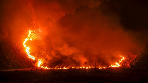 Bromo Ditutup Total karena Kebakaran, Ini Cara Refund dan Reschedule Tiket