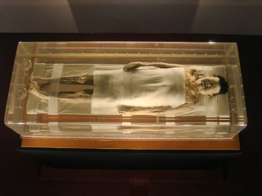 mummy-under-glass Xin Zhui