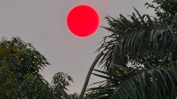 BMKG menjelaskan fenomena Matahari tampak merah di Medan sebagai efek optik atmosfer akibat aerosol, debu, asap dan kondisi udara.